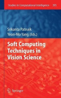 bokomslag Soft Computing Techniques in Vision Science