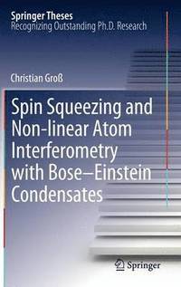 bokomslag Spin Squeezing and Non-linear Atom Interferometry with Bose-Einstein Condensates