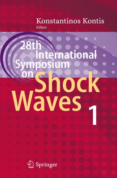 bokomslag 28th International Symposium on Shock Waves