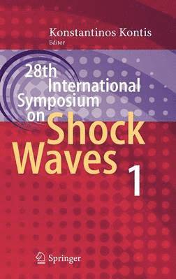 28th International Symposium on Shock Waves 1