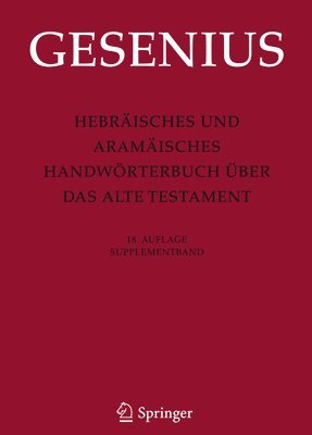 bokomslag Hebrisches und Aramisches Handwrterbuch ber das Alte Testament