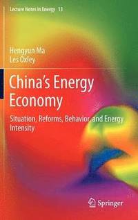 bokomslag Chinas Energy Economy