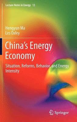 bokomslag Chinas Energy Economy