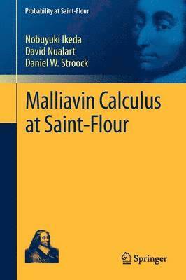 bokomslag Malliavin Calculus at Saint-Flour