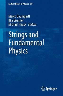 bokomslag Strings and Fundamental Physics