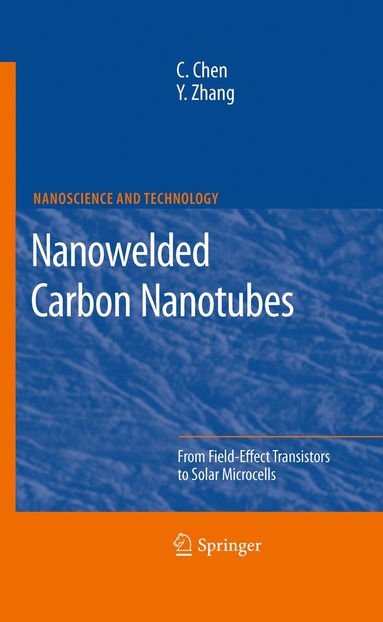 bokomslag Nanowelded Carbon Nanotubes