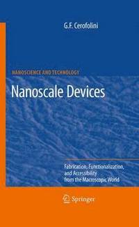 bokomslag Nanoscale Devices