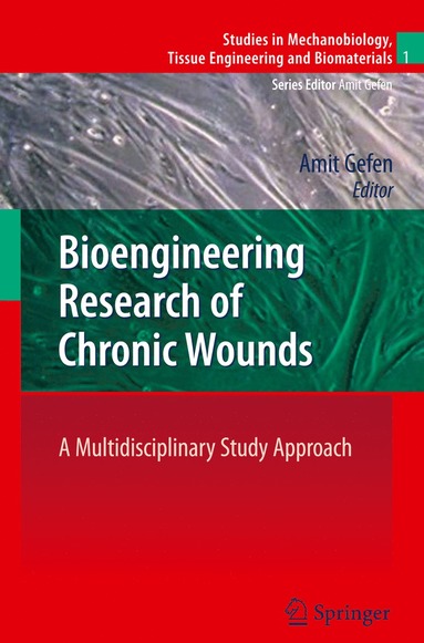 bokomslag Bioengineering Research of Chronic Wounds