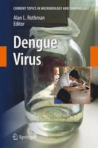 bokomslag Dengue Virus