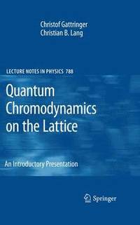 bokomslag Quantum Chromodynamics on the Lattice