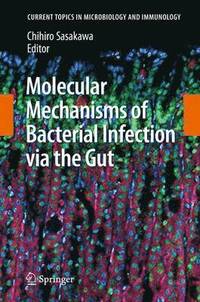 bokomslag Molecular Mechanisms of Bacterial Infection via the Gut