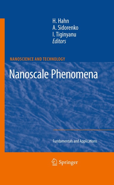 Horst Hahn, Anatoli Sidorenko, Ion Tiginyanu - Nanoscale Phenomena, Häftad