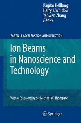 bokomslag Ion Beams in Nanoscience and Technology