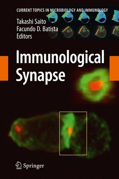 Takashi Saito, Facundo D. Batista - Immunological Synapse, Häftad