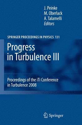 bokomslag Progress in Turbulence III