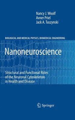 bokomslag Nanoneuroscience