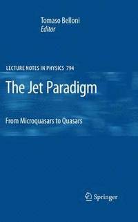 bokomslag The Jet Paradigm