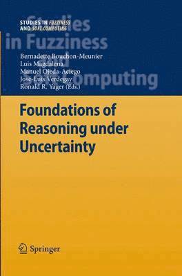 bokomslag Foundations of Reasoning under Uncertainty