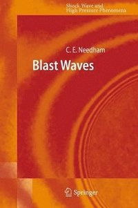 bokomslag Blast Waves