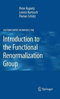bokomslag Introduction to the Functional Renormalization Group