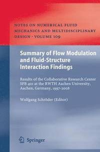 bokomslag Summary of Flow Modulation and Fluid-Structure Interaction Findings