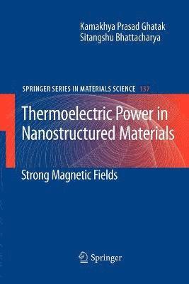 bokomslag Thermoelectric Power in Nanostructured Materials