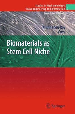 bokomslag Biomaterials as Stem Cell Niche