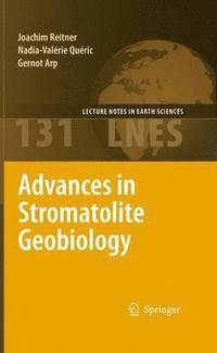 bokomslag Advances in Stromatolite Geobiology