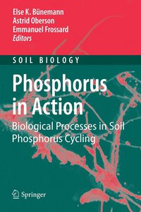 bokomslag Phosphorus in Action