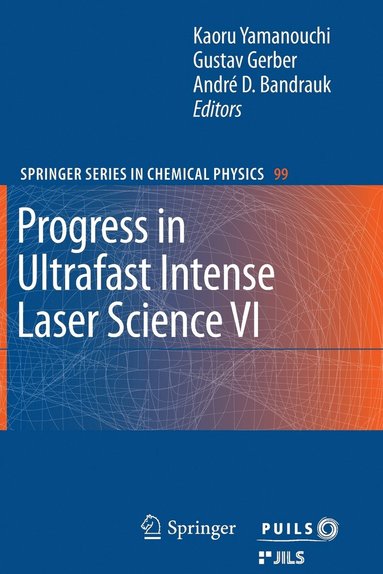 bokomslag Progress in Ultrafast Intense Laser Science VI