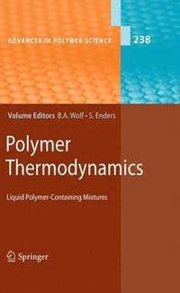 bokomslag Polymer Thermodynamics