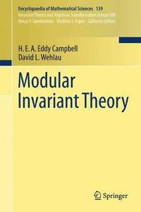 bokomslag Modular Invariant Theory