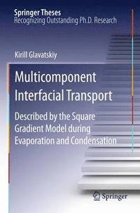 bokomslag Multicomponent Interfacial Transport