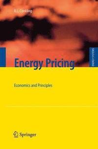 bokomslag Energy Pricing