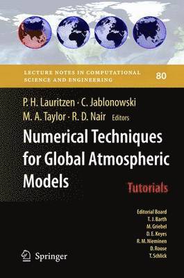 bokomslag Numerical Techniques for Global Atmospheric Models