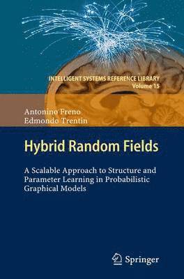 bokomslag Hybrid Random Fields