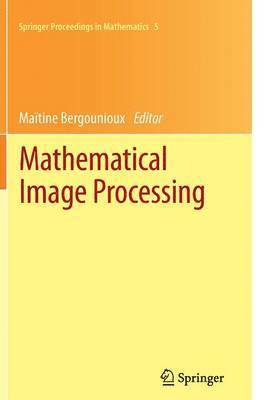 bokomslag Mathematical Image Processing
