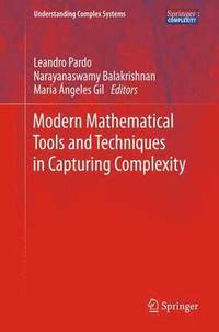 bokomslag Modern Mathematical Tools and Techniques in Capturing Complexity