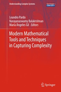 bokomslag Modern Mathematical Tools and Techniques in Capturing Complexity