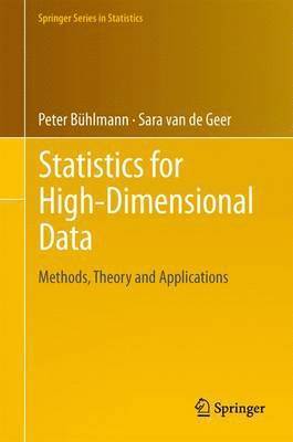bokomslag Statistics for High-Dimensional Data