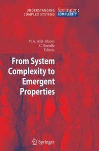 bokomslag From System Complexity to Emergent Properties