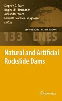 bokomslag Natural and Artificial Rockslide Dams