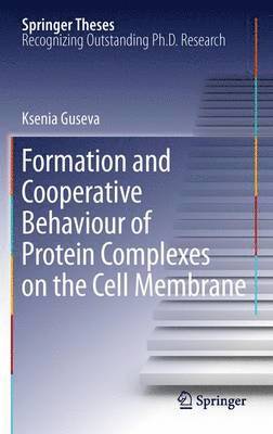 Formation and Cooperative Behaviour of Protein Complexes on the Cell Membrane 1