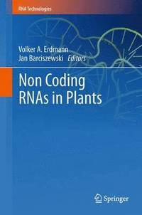 bokomslag Non Coding RNAs in Plants