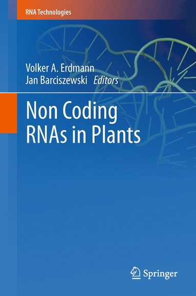 bokomslag Non Coding RNAs in Plants