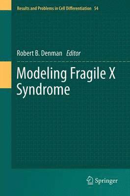 Modeling Fragile X Syndrome 1