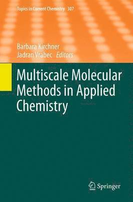 Barbara Kirchner, Jadran Vrabec - Multiscale Molecular Methods in Applied Chemistry, Häftad