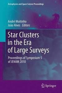 bokomslag Star Clusters in the Era of Large Surveys