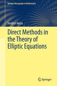 bokomslag Direct Methods in the Theory of Elliptic Equations