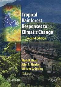 bokomslag Tropical Rainforest Responses to Climatic Change